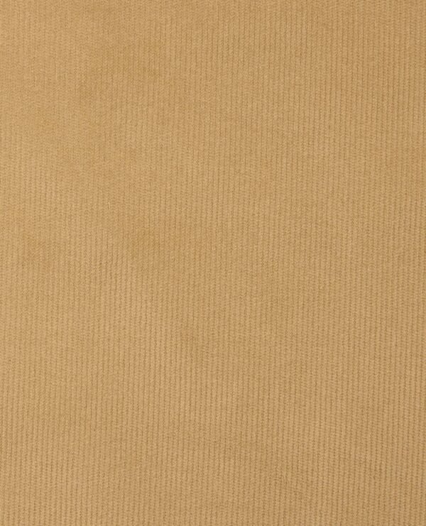 Coaster Cord Lean Pant - Image 4